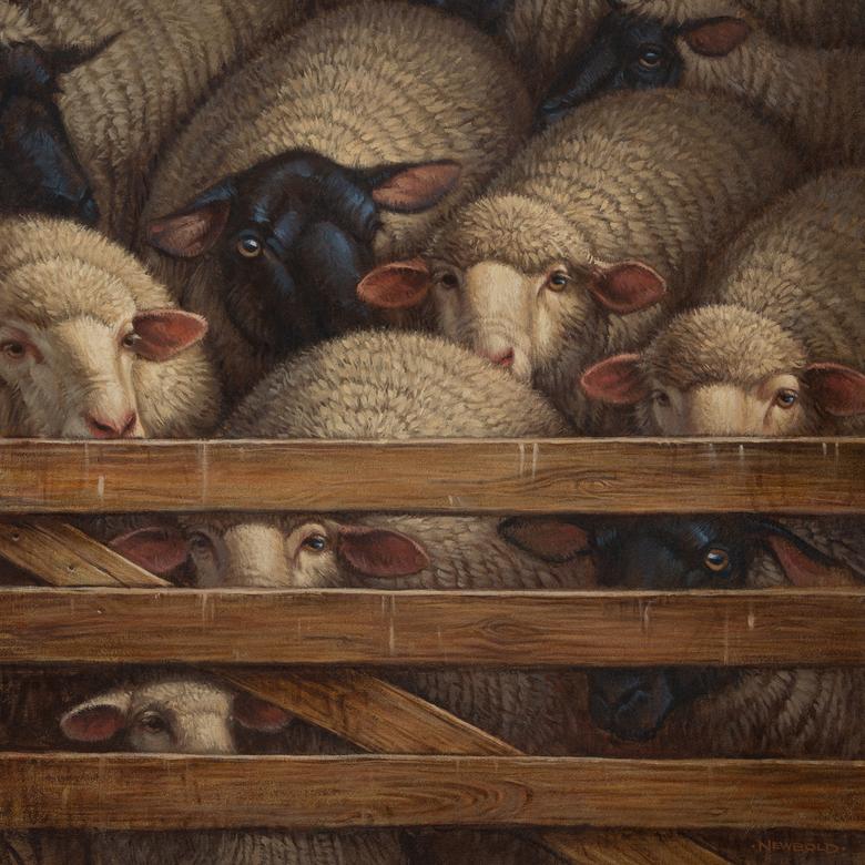 An oil painting by Gregory Leo Newbold depicting sheep waiting to be shorn as a symbol of the Atonement.