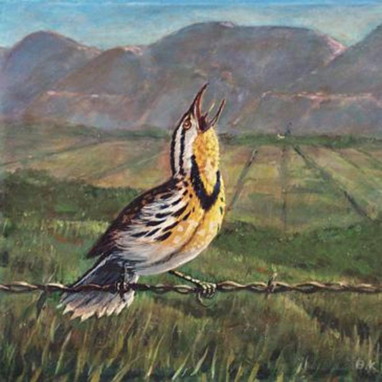 Singing Meadowlark, Brigham City, Utah