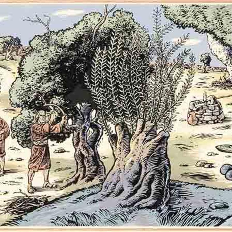 Allegory of the Olive Tree